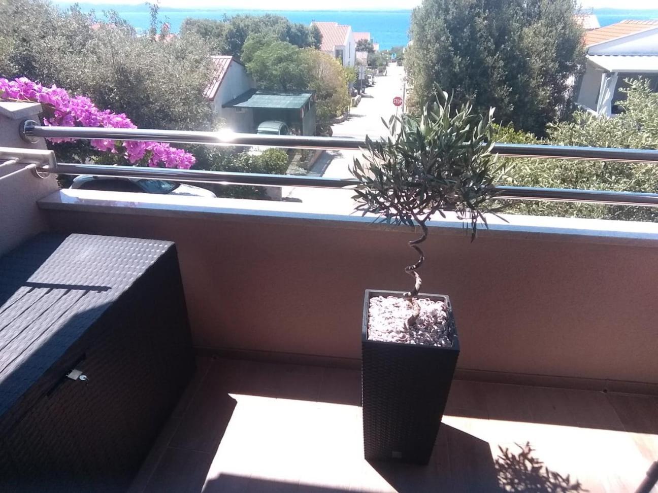 Apartment Vila Nina Petrcane Δωμάτιο φωτογραφία